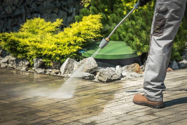 Best Pre-Holiday Cleaning  in Mount Kisco, NY